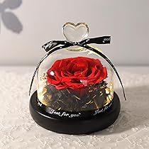 81u6HN-9A+L._AC_UL210_SR210,